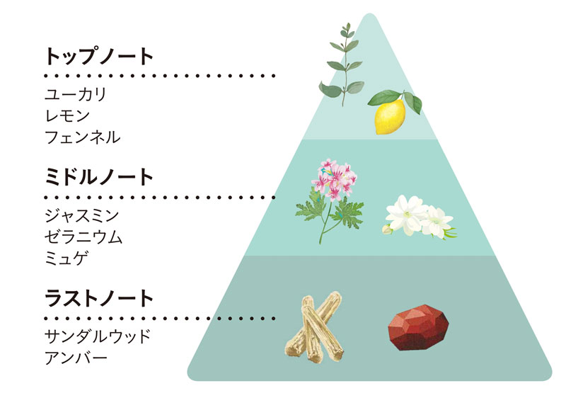 マリンフローラル